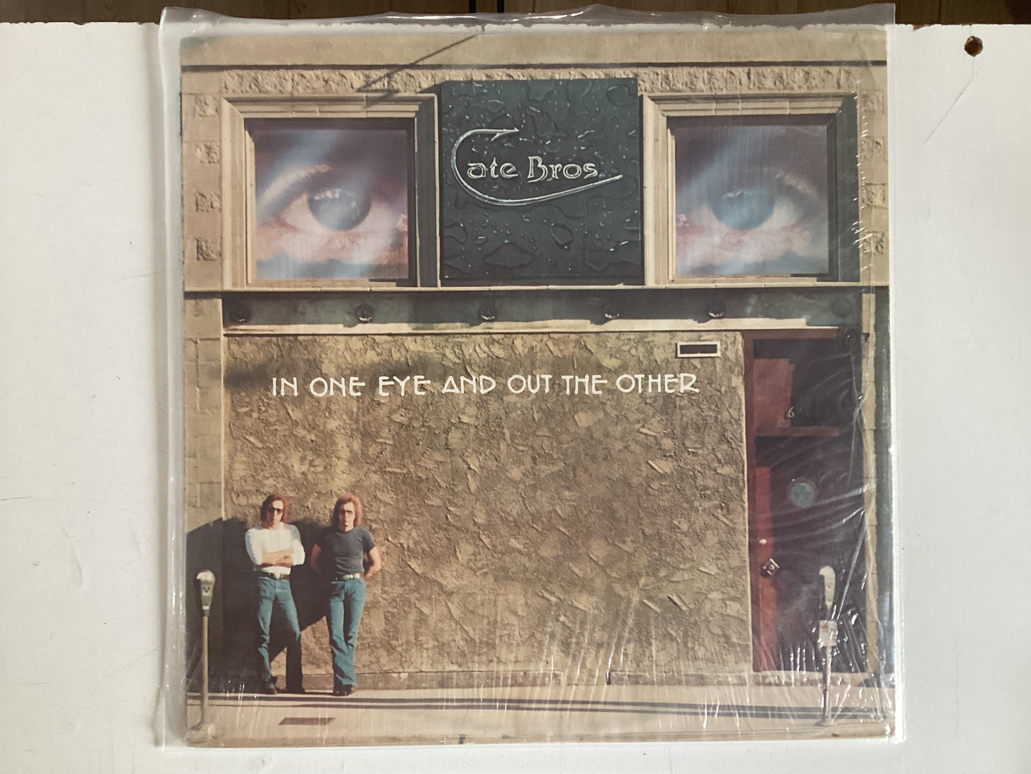 CATE BROS. = IN ONE EYE AND OUT THE OTHER (CDA 1976) (USED)
