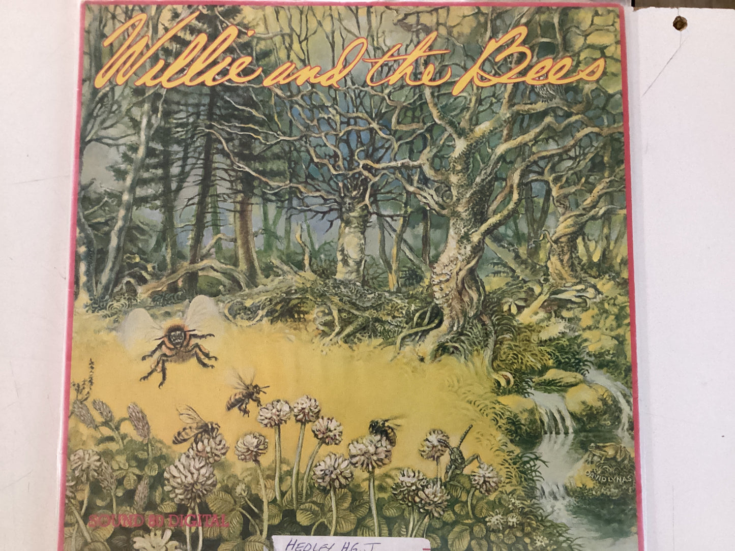 WILLIE AND THE BEES = OUT OF THE WOODS (USA 1980) (USED)