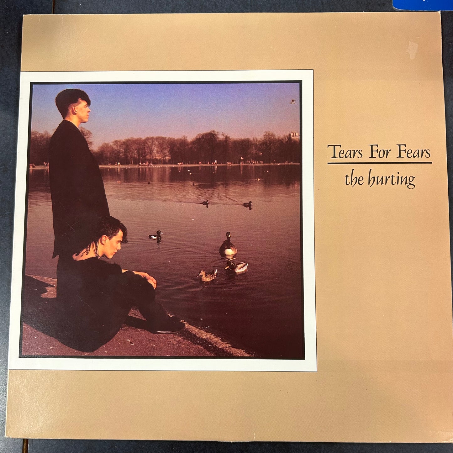 TEARS FOR FEARS = HURTING [SWAN COVER] (CDN 1983) (USED)