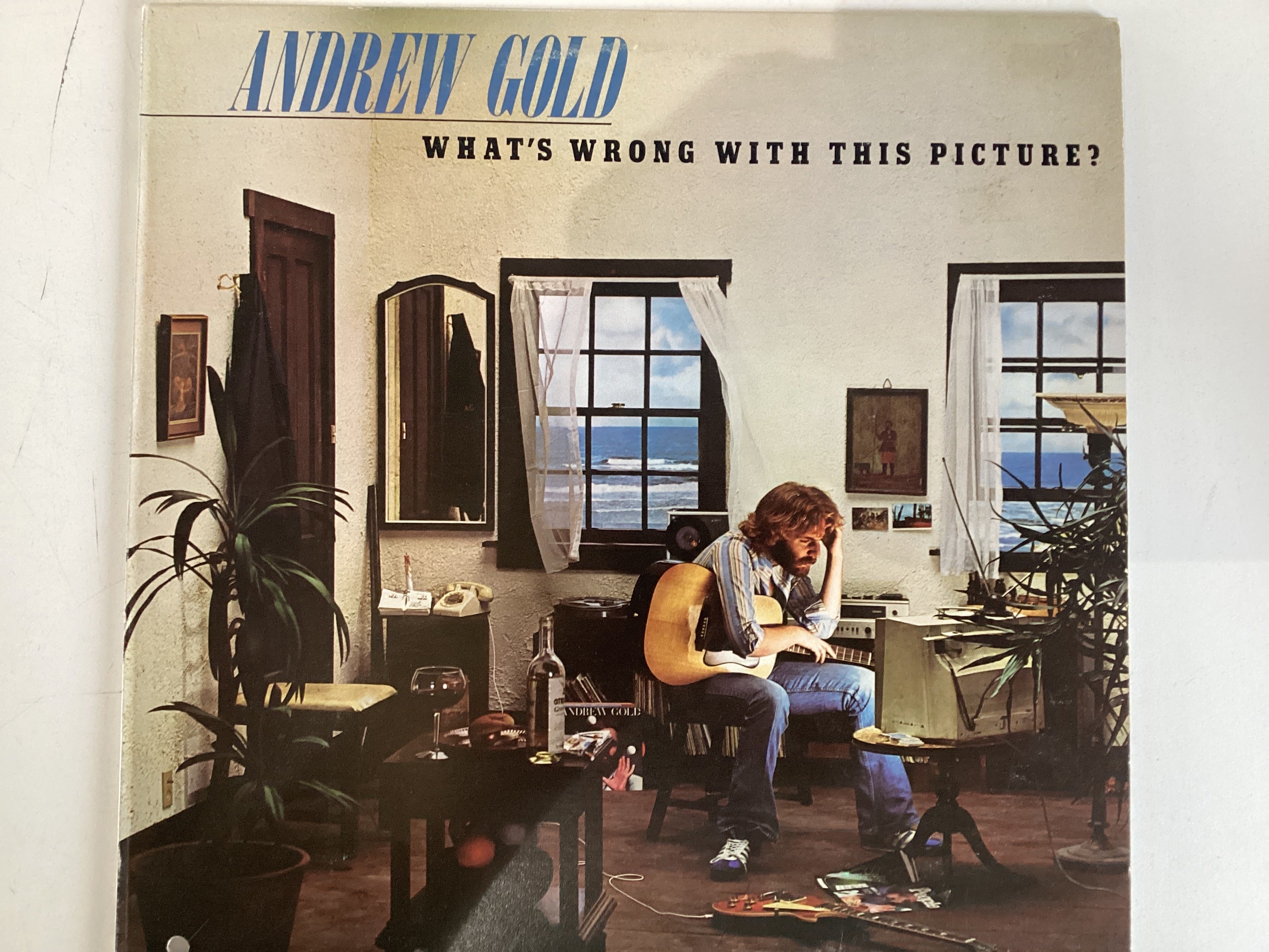 GOLD, ANDREW = WHAT’S WRONG WITH THIS PICTURE (CDA 1977) (USED)
