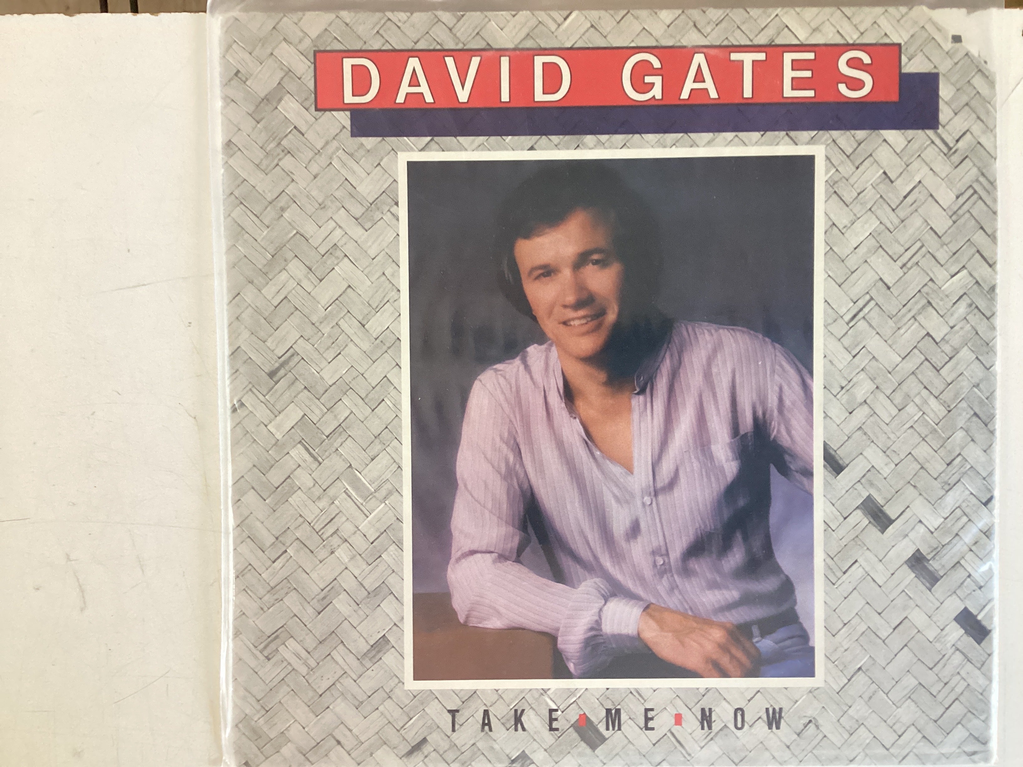 GATES, DAVID = TAKE ME NOW (USA 1981) (USED)