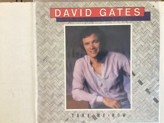 GATES, DAVID = TAKE ME NOW (USA 1981) (USED)