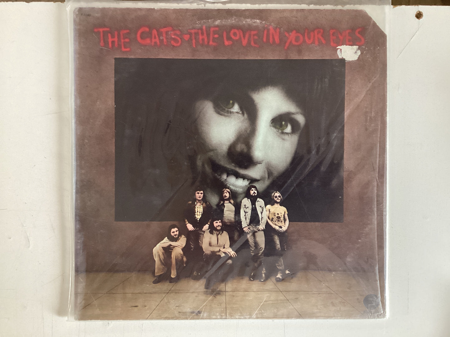 THE CATS = THE LOVE IN YOUR EYES (USA 1974) (USED)
