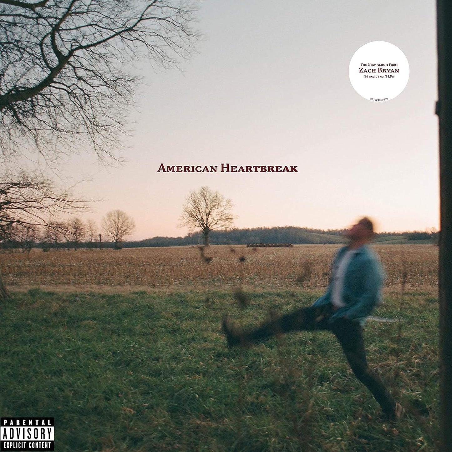 BRYAN, ZACH = AMERICAN HEARTBREAK (3LP/120G)