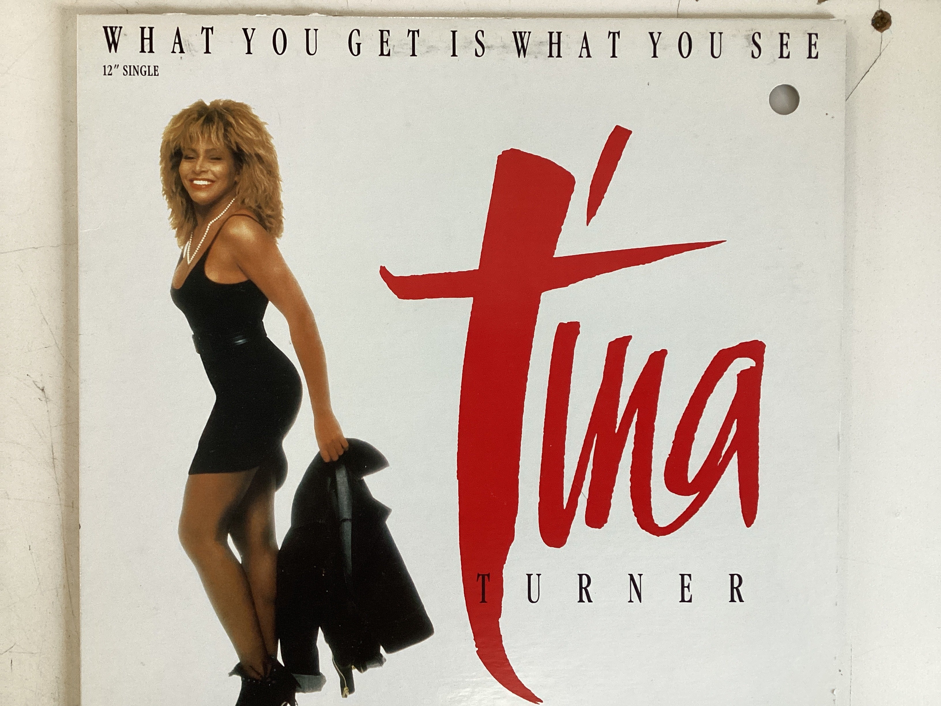 TURNER, TINA = WHAT YOU GET IS WHAT YOU SEE (CDA 1986) (USED)