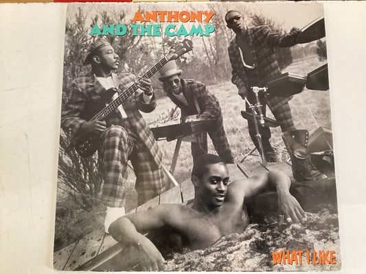 ANTHONY AND THE CAMP = WHAT I LIKE (USA 1986) (USED)