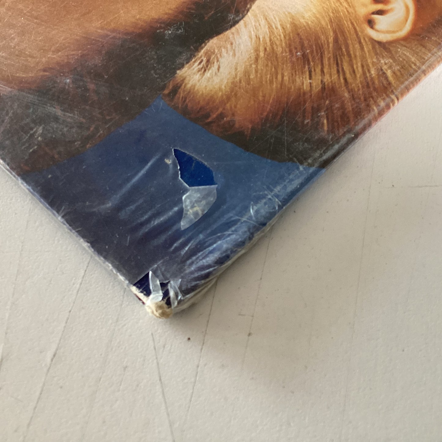 STYX = PIECES OF EIGHT (CDN 1978/SEALED) (USED)