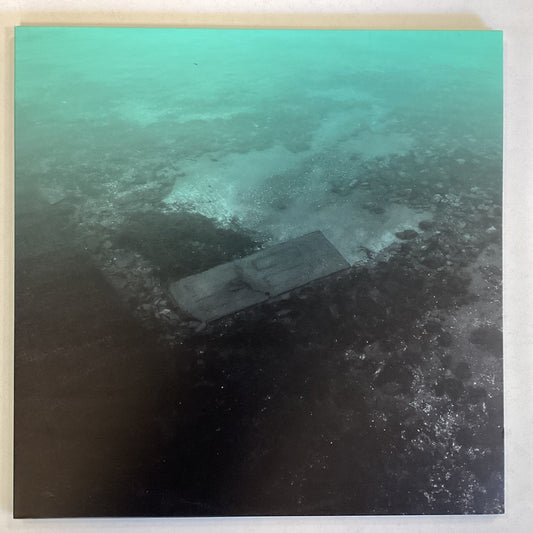 PS I LOVE YOU = FOR THOSE WHO STAY (CDN 2014) (USED)
